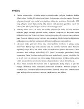 Įmonių finansinės rizika 11 puslapis