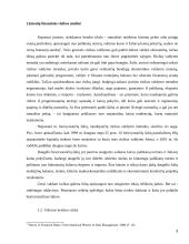 Įmonių finansinės rizika 3 puslapis