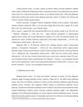 Įmonių finansinės rizika 4 puslapis