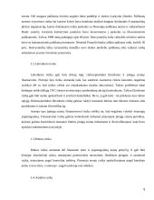 Įmonių finansinės rizika 5 puslapis