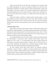 Įmonių finansinės rizika 6 puslapis