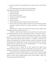 Įmonių finansinės rizika 8 puslapis