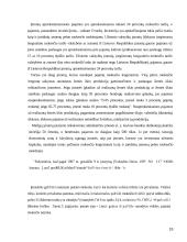 Mokesčių rūšys ir LR valstybinė mokesčių sistema 19 puslapis