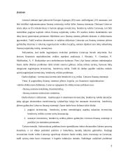 Investicinės bendrovės ir jų veikla Lietuvos finansų sistemoje 2 puslapis