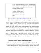 Investicinės bendrovės ir jų veikla Lietuvos finansų sistemoje 13 puslapis