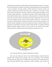Investicinės bendrovės ir jų veikla Lietuvos finansų sistemoje 8 puslapis