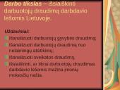Darbuotojų draudimas darbdavio lėšomis Lietuvoje 2 puslapis