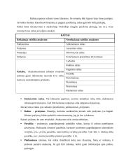 Raštvedybos dokumentų taisyklės ir valdymas 14 puslapis