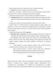 Raštvedybos dokumentų taisyklės ir valdymas 17 puslapis