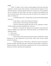 Darbo teisių gynimas ir įgyvendinimas 2 puslapis