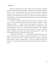 Darbo teisių gynimas ir įgyvendinimas 18 puslapis