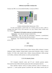 Ekonomikos teorijos įvado pagrindai 13 puslapis