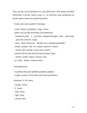 Oficialus verslo protokolas Vokietijoje 11 puslapis