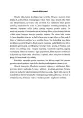 Absurdo idėjos genezė 3 puslapis