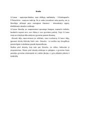 Absurdo idėjos genezė 10 puslapis