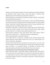 Platonas ir jo idėjų teorija 11 puslapis