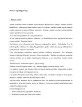 Platonas ir jo idėjų teorija 4 puslapis