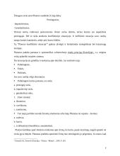 Platonas ir jo idėjų teorija 8 puslapis