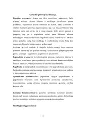 Gamybos organizavimas bei planavimas 2 puslapis