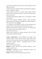 Gamybos organizavimas bei planavimas 3 puslapis