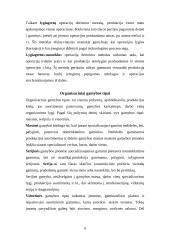 Gamybos organizavimas bei planavimas 6 puslapis