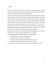 Racionalizmas ir savikūra 2 puslapis