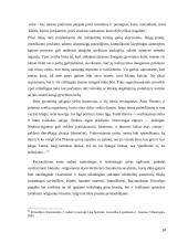 Racionalizmas ir savikūra 14 puslapis