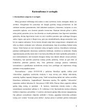 Racionalizmas ir savikūra 3 puslapis