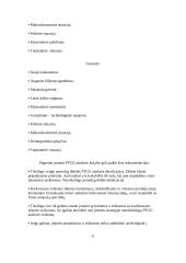 Gamybos priemonių marketingas 3 puslapis