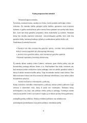 Gamybos priemonių marketingas 5 puslapis