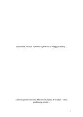 Referatas. Belgija 8 puslapis