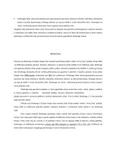 Honkongas ir jo ekonomika 5 puslapis