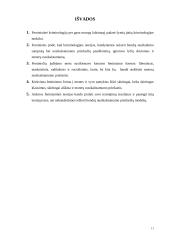 Feministinės teorijos referatas 11 puslapis