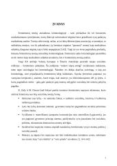 Feministinės teorijos referatas 3 puslapis