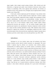 Nepilnamečių nusikalstamumo prevencijos magistrinis darbas 17 puslapis