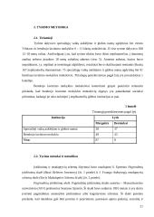 Nepilnamečių nusikalstamumo prevencijos magistrinis darbas 19 puslapis