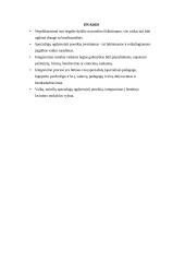 Vaikų su specialiais integracijos poreikiais integracija 18 puslapis