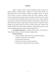 Įmonės marketingo planas: odos gaminiai UAB "Odivela" 3 puslapis