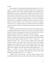 Interesų grupių institucionalizacija viešojoje politikoje 2 puslapis