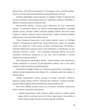 Interesų grupių institucionalizacija viešojoje politikoje 15 puslapis