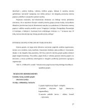 Interesų grupių institucionalizacija viešojoje politikoje 17 puslapis