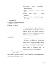 Interesų grupių institucionalizacija viešojoje politikoje 18 puslapis