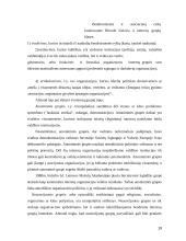 Interesų grupių institucionalizacija viešojoje politikoje 19 puslapis