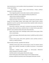 Interesų grupių institucionalizacija viešojoje politikoje 3 puslapis