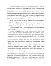 Interesų grupių institucionalizacija viešojoje politikoje 6 puslapis