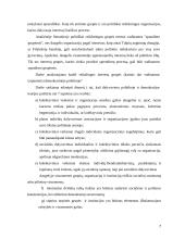 Interesų grupių institucionalizacija viešojoje politikoje 7 puslapis