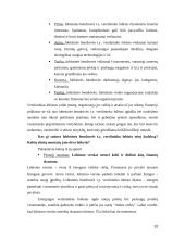 Lobizmo raiškų įvairovė ir etinis suderinamumas 10 puslapis