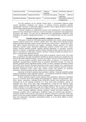 G. Gereffi. Konkuruojančios paradigmos tarpregioniniam lyginimui. Analizė   2 puslapis