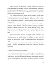 Autoritarinis rėžimas ir jo tipai 11 puslapis