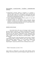 Referatas: demokratija ir elitas 7 puslapis